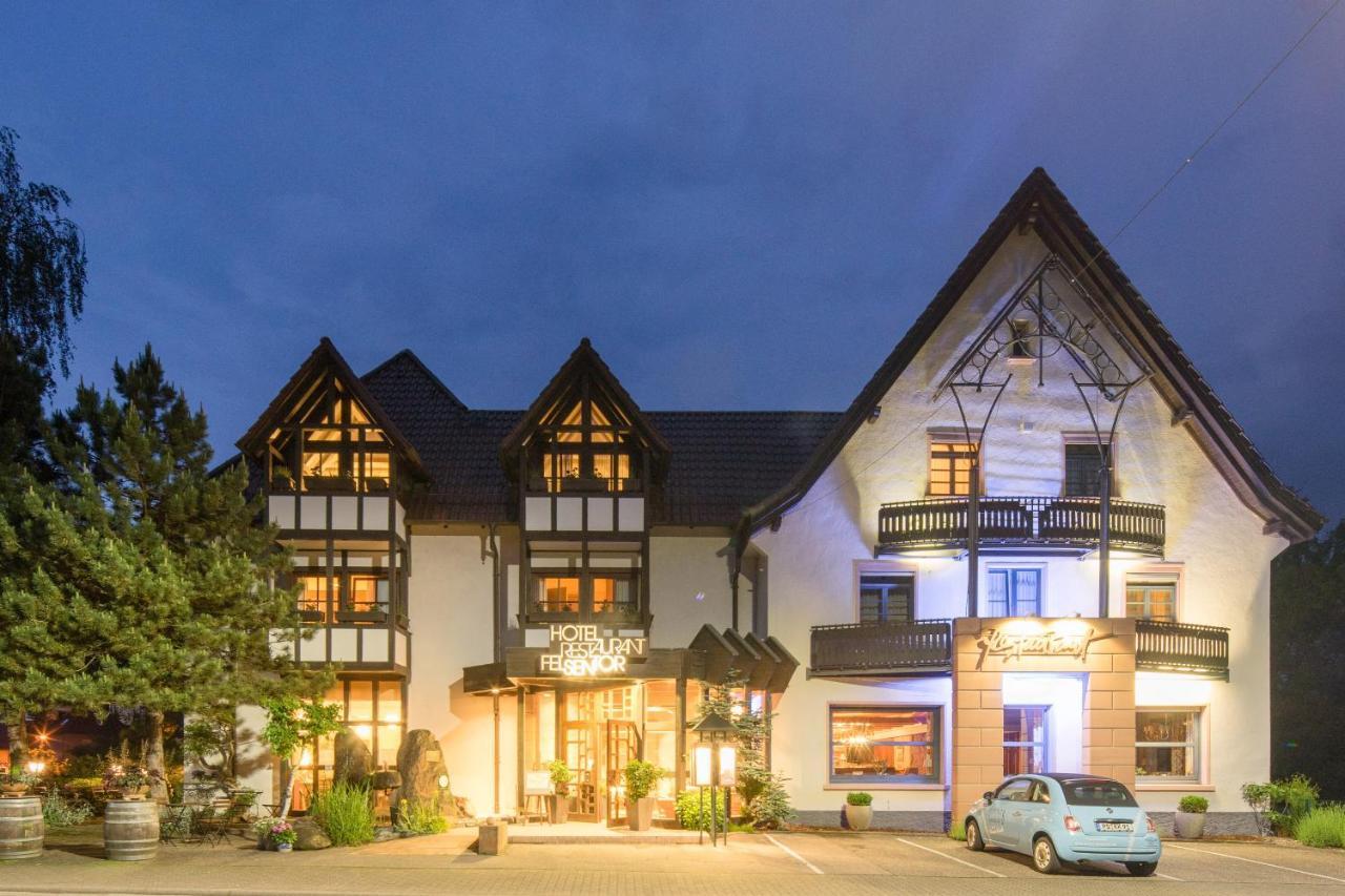 Waldhotel Felsentor Hauenstein Zewnętrze zdjęcie