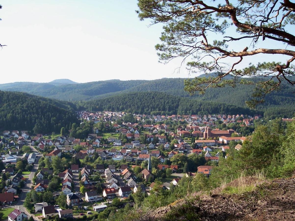Waldhotel Felsentor Hauenstein Zewnętrze zdjęcie