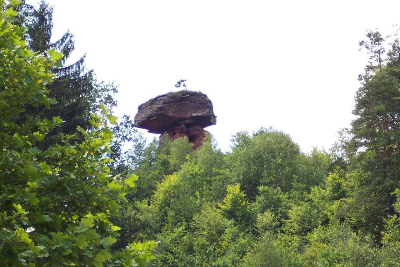 Waldhotel Felsentor Hauenstein Zewnętrze zdjęcie